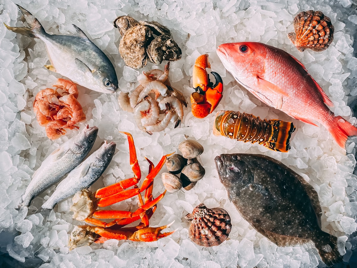 Plateau de fruits de mer et arrivages